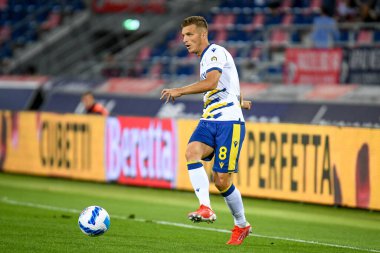 Verona 'nın Darko Lazoviç portresi İtalyan futbolu Serie A maçında Bologna FC - Hellas Verona FC (portreler arşivi) - Renato Dall & # 39; Ara stadyumu, Bologna, İtalya, 13 Eylül 2021 - Fotoğraf: Ettore Griffon