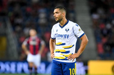 İtalya futbol takımı Serie A maçında Verona 'nın Giancluca Caprari portresi Bologna FC - Hellas Verona FC (portreler arşivi) - 13 Eylül 2021 Bologna, İtalya' da bulunan Renato Dall & # 39; Ara Stadyumu 'nda