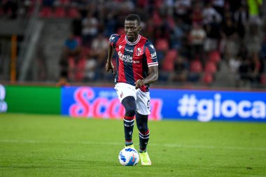 İtalya futbolu Serie A maçında Bologna FC - Hellas Verona FC (portreler arşivi) maçı sırasında Bologna 'nın Musa Barrow portresi Bologna, İtalya' daki Renato Dall & # 39; Ara stadyumunda 13 Eylül 2021