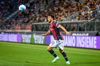 Bologna 'nın Nicola Sansone portresi İtalyan futbolu Serie A maçında Bologna FC - Hellas Verona FC (portreler arşivi) - Renato Dall & # 39; Ara stadyumu, Bologna, İtalya, 13 Eylül 2021 - Fotoğraf: Ettore Griffon