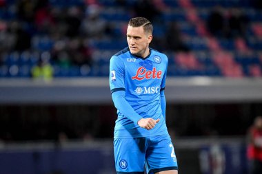 İtalya futbolu sırasındaki Piotr Zielinski (Napoli) portresi Bologna FC maçında SSC Napoli 'ye karşı Renato Dall & # 39; Ara stadyumunda 17 Ocak 2022 - Fotoğraf: Ettore Griffon