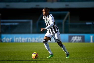 Udinese 'nin İtalya futbol takımı Serie A maçında Udinese Calcio' ya karşı Marcantonio Bentegodi Stadyumu 'nda oynanan 
