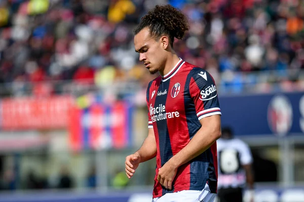 İtalya futbolu sırasındaki Bologna Arthur Tiyatrosu portresi Bologna FC, Udinese Calcio 'ya karşı Bologna, İtalya' daki Renato Dall 'Ara Stadyumu' nda 24 Nisan 2022 - Fotoğraf: Ettore Griffon