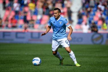 Lazio 'nun Eliezer Pedro portresi İtalyan futbolu Serie A maçında Bologna FC - SS Lazio (portreler arşivi) maçı sırasında İtalya' nın Bologna kentindeki Renato Dall 'Ara stadyumunda, 3 Ekim 2021 - Fotoğraf: Ettore Griffon
