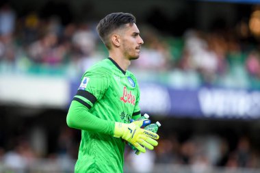 Napoli's Alex Meret portrait  during  italian soccer Serie A match Hellas Verona FC vs SSC Napoli at the Marcantonio Bentegodi stadium in Verona, Italy, August 15, 2022 - Credit: Ettore Griffon