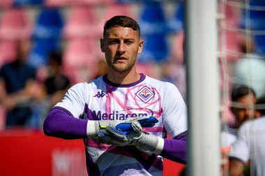 Fiorentina 'nın Michele Cerofolini portresi İtalyan futbol takımı Serie A maçında Bologna FC - ACF Fiorentina maçı Bologna, İtalya' da Renato Dall 'Ara stadyumunda, 11 Eylül 2022 - Fotoğraf: Ettore Griffon
