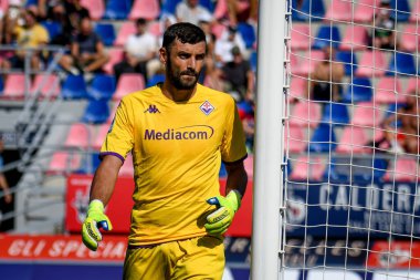 Fiorentina 'nın Pietro Terracciano portresi İtalyan futbolu Serie A maçında Bologna FC - ACF Fiorentina maçı Bologna, İtalya' da Renato Dall 'Ara stadyumunda, 11 Eylül 2022 - Fotoğraf: Ettore Griffon