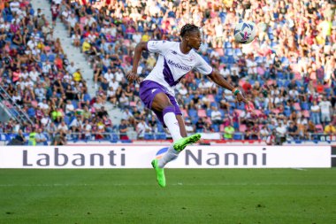 Fiorentina 'nın Hıristiyan Kouame portresi İtalyan futbolu Serie A maçında Bologna FC, ACF Fiorentina' ya karşı Bologna, İtalya 'da Renato Dall' Ara Stadyumu 'nda 11 Eylül 2022 - Fotoğraf: Ettore Griffon