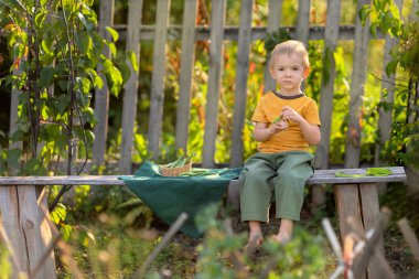 Köyde hayat var. Bir çocuk tahta bir bankta oturuyor.