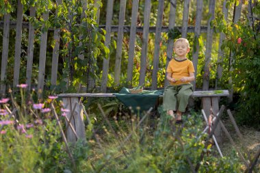 Köyde hayat var. Bir çocuk tahta bir bankta oturuyor.