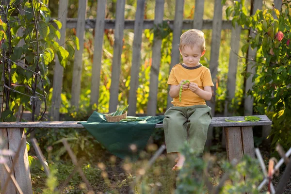 Life in the village.A boy is sitting on a wooden bench