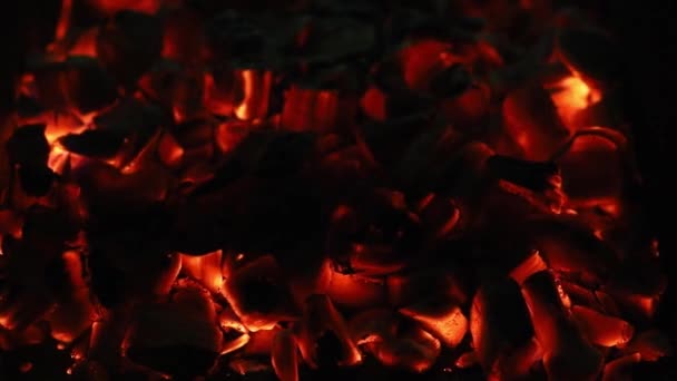 En närbild av ett glödande kol i mörker.Embers i grillen — Stockvideo