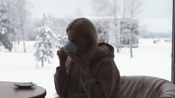 Una niña en el fondo de una ventana panorámica con vistas a un invierno nevado — Vídeos de Stock