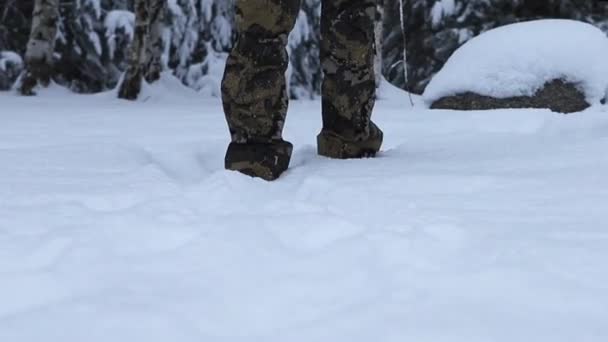 Egy ember érintetlen hóban sétál az erdőben.. — Stock videók