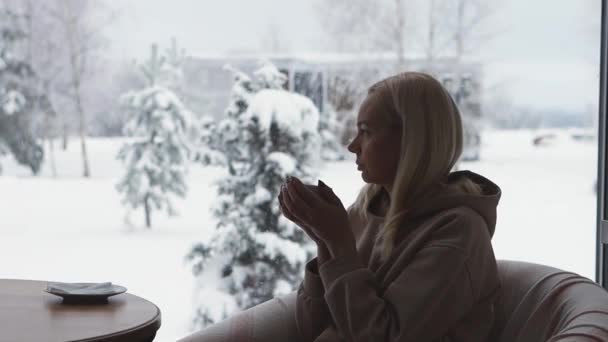 Дівчина на фоні панорамного вікна з видом на снігову зиму — стокове відео