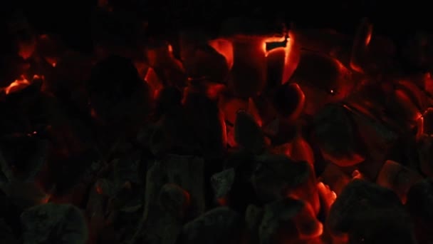Embers in the grill.The burning tree flickers with a beautiful flame — Stockvideo