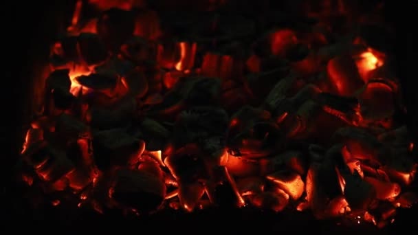 Pohled zblízka na doutnající uhlí ve tmě. Embers in the grill — Stock video