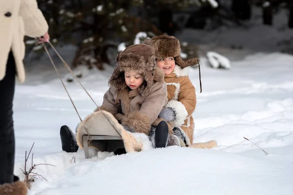 Mom is taking two kids in winter fur coats and hats on a sled 