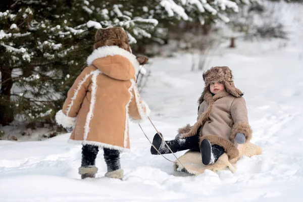 A boy in a winter sheepskin coat and a hat is taking his brother on a sled 