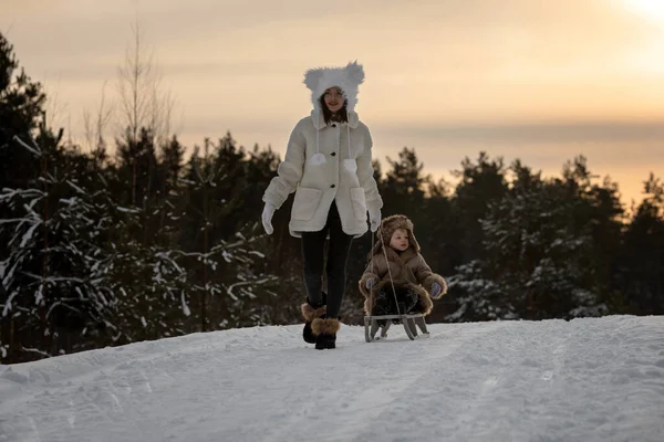 Mom is taking two kids in winter fur coats and hats on a sled — стоковое фото