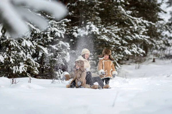 Mom and two kids in winter fur coats and hats are sledding through a forest — Foto Stock