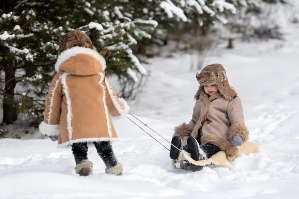 A boy in a winter sheepskin coat and a hat is taking his brother on a sled 