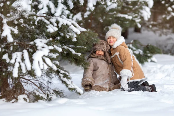 Fratello e sorella sono seduti nella neve sotto un pino e ridono. — Foto Stock