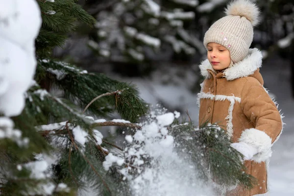 Una ragazza in un cappello invernale e cappotto di pelle di pecora sta giocando in una foresta innevata — Foto Stock