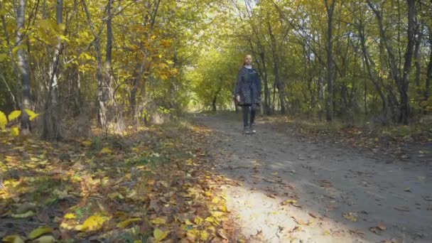 Chica con un paraguas en un impermeable caminando por un sendero en el bosque de otoño. — Vídeo de stock