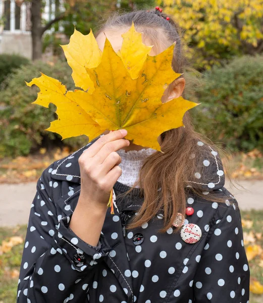 Jeune fille couvrant visage avec feuille d'érable jaune à l'automne Image En Vente