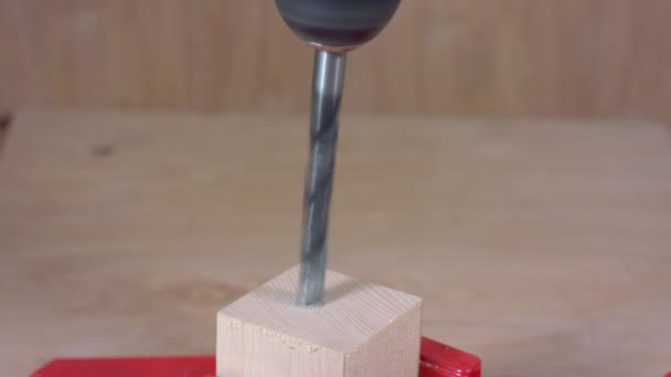 Maskinborrar hål i träskiva. Detalj av en borrmaskin som borrar i trä. — Stockvideo