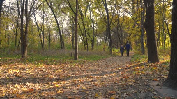Father and daughter are walking in the autumn forest. — Stockvideo