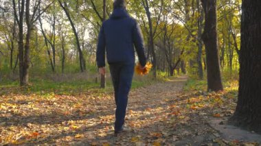 Man with a bouquet of yellow leaves walks in the forest in autumn