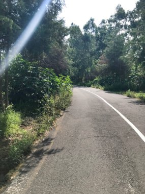 Parkın Yolu ve Saha Günü