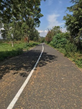 Parkın Yolu ve Saha Günü