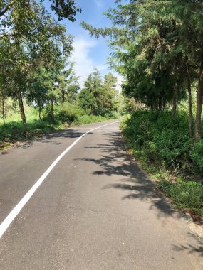 Parkın Yolu ve Saha Günü