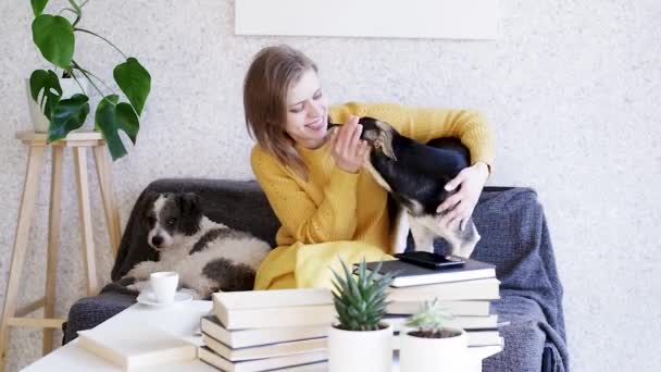 Jonge Vrouw Zitten Met Haar Honden Ontspannen Thuis — Stockvideo