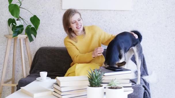 Νεαρή Γυναίκα Κάθεται Σκυλιά Της Χαλαρώνοντας Στο Σπίτι — Αρχείο Βίντεο