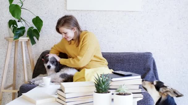 Jovem Mulher Sentada Com Seus Cães Relaxando Casa — Vídeo de Stock