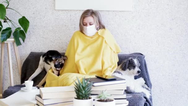 Mulher Doente Máscara Espirrando Sentado Sofá Casa Com Seus Cães — Vídeo de Stock