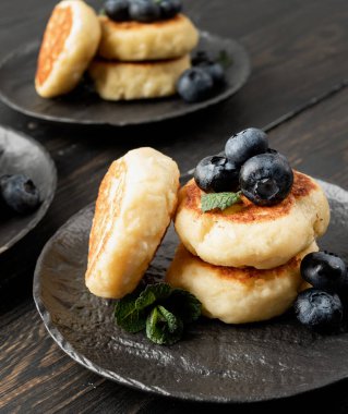 Koyu ahşap arka planda seramik tabakta yabanmersinli süzme peynirli börek. Sağlıklı kalsiyum kahvaltı, öğle yemeği veya atıştırmalık. Geleneksel Rus yemekleri. Kapat.