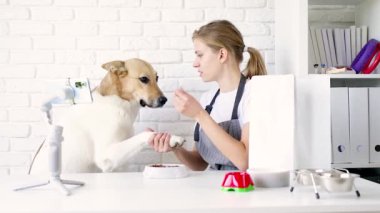 Young caucasian woman groomer blogger speaking looking to camera, having stream with her dog