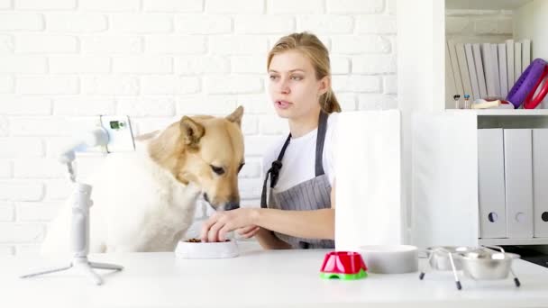 Young caucasian woman groomer blogger speaking looking to camera, having stream with her dog — Video