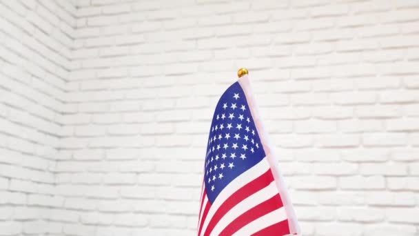 Small national flag of the United States of America — Video Stock