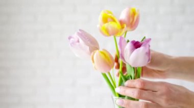 Female hands holding bouquet of fresh tulips