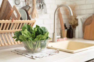 Preparing healthy foods. Healthy eating and dieting. fresh spinash in a bowl in the kitchen. Closeup of spinach
