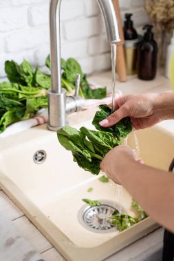Preparing healthy foods. Healthy eating and dieting. Young smiling woman in home clothes washing spinash in the kitchen