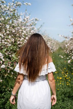 Spring concept. Nature. Young caucasian woman in white summer dress enjoying the flowering of an apple trees, walking in spring apple gardens
