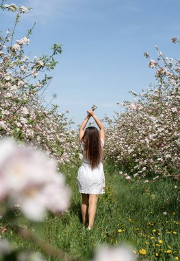 Spring concept. Nature. Young caucasian woman in white summer dress enjoying the flowering of an apple trees, walking in spring apple gardens
