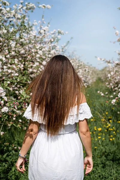 Spring concept. Nature. Young caucasian woman in white summer dress enjoying the flowering of an apple trees, walking in spring apple gardens